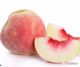 小麻瓜吃桃子,小麻瓜的甜蜜桃之旅