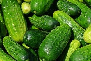 梦见在医院吃瓜,医院瓜果飘香，揭秘潜意识中的健康密码