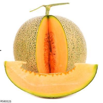 剑羚吃哈密瓜,自然界的和谐画卷