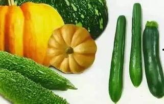 董口镇吃瓜,瓜香四溢，品味乡村田园生活