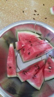 吃瓜啃肉干,探寻美食的独特魅力