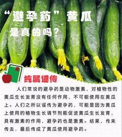 打吊瓶吃瓜,夏日里的独特疗愈体验